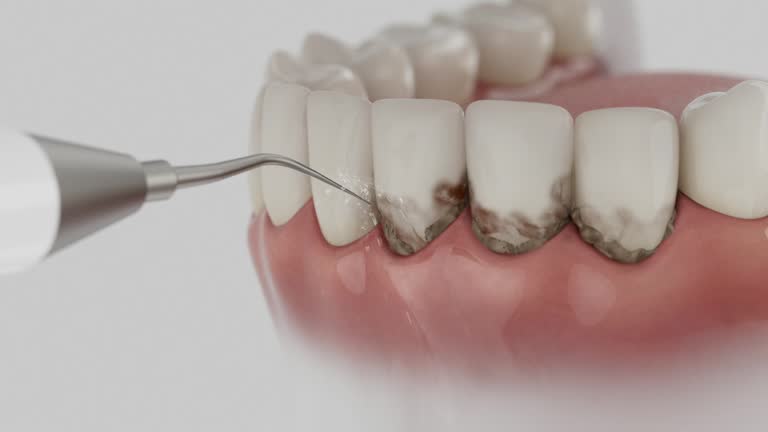 Reliable Dental contractor in Decatur, MI by Dentist Open Now
